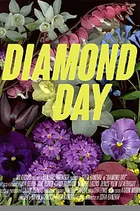 Постер к фильму «Diamond Day (2015)»