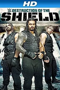 Главный постер фильма «Journey to SummerSlam: The Destruction of the Shield (2014)»
