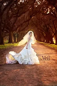 Постер к фильму «The Veil (2014)»
