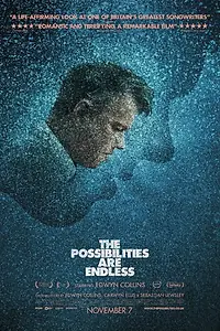Главный постер фильма «Возможности безграничны (2014)»
