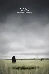Главный постер фильма «Камеры (2014)»