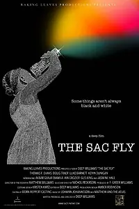 Постер к фильму «The Sac Fly (2015)»