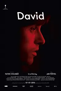 Постер к фильму «Дэвид (2015)»