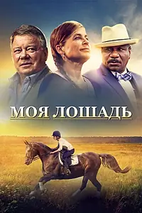 Постер к фильму «Моя лошадь (2016)»