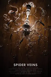 Постер к фильму «Spider Veins (2016)»