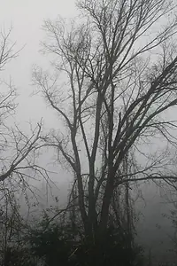 Постер к фильму «A Haunting in Arkansas (2015)»