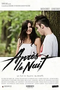 Постер к фильму «Après la nuit (2014)»