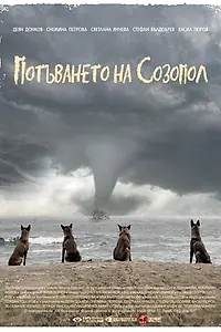 Главный постер фильма «Исчезновение Созополя (2014)»