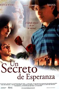 Постер к фильму «Секрет надежды (2002)»