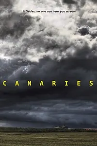 Постер к фильму «Канарейки (2017)»