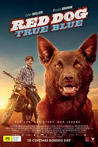 Постер к фильму «Рыжий пес: Самый верный (2016)»