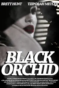 Постер к фильму «Black Orchid (2014)»