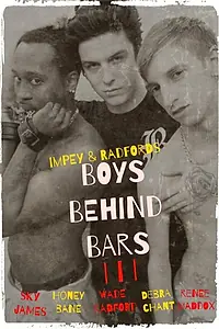 Постер к фильму «Boys Behind Bars 3 (2015)»