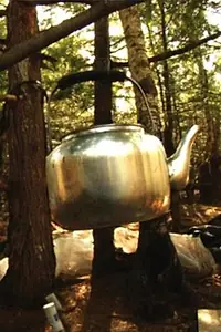 Постер к фильму «The Hermit (2015)»
