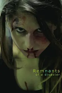 Главный постер фильма «Remnants of a Disaster (2014)»