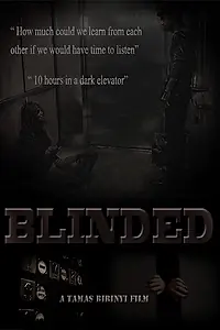 Постер к фильму «Blinded (2014)»