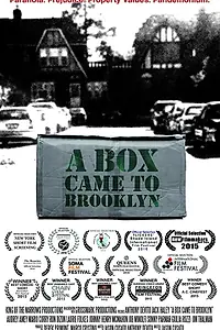 Постер к фильму «A Box Came to Brooklyn (2015)»