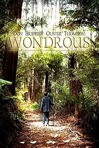Постер к фильму «Wondrous (2014)»