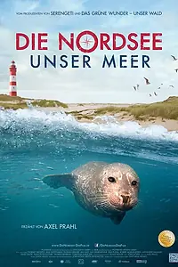 Главный постер фильма «Тайны Северного моря (2013)»