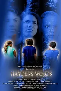 Главный постер фильма «Haydens Woods (2016)»
