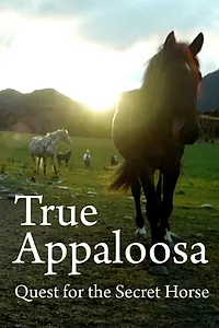 Постер к фильму «True Appaloosa (2015)»