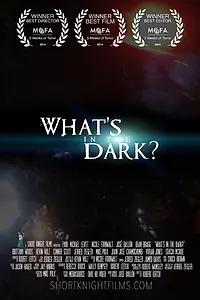 Постер к фильму «What's in the Dark? (2014)»