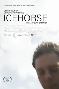 Постер к фильму «IJspaard (2014)»