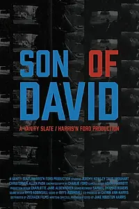Постер к фильму «Son of David (2011)»