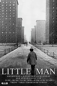 Постер к фильму «Little Man (2014)»