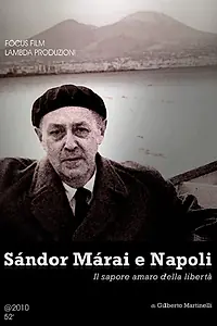 Главный постер фильма «Sándor Márai e Napoli - Il sapore amaro della libertà (2012)»