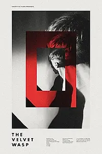 Постер к фильму «The Velvet Wasp (2015)»