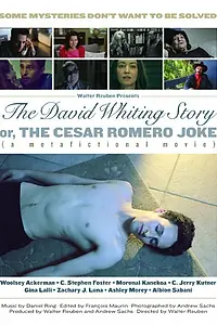 Постер к фильму «The David Whiting Story (2014)»