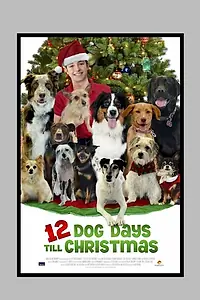 Постер к фильму «12 Dog Days of Christmas (2014)»