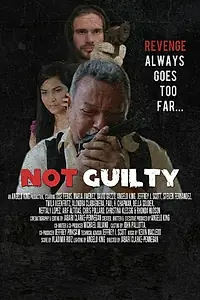 Постер к фильму «Not Guilty (2014)»