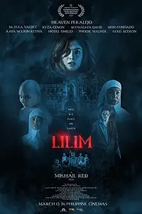 Постер к фильму «Тень (2025)»