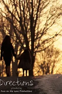 Постер к фильму «Directions (2014)»