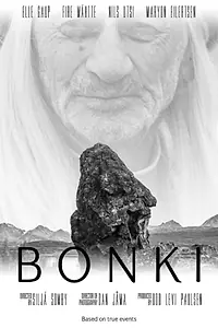 Постер к фильму «Bonki (2014)»