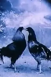 Главный постер фильма «Animali criminali (1994)»