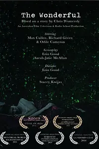 Постер к фильму «The Wonderful (2013)»