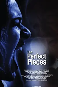 Постер к фильму «The Perfect Pieces (2014)»