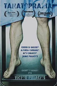 Постер к фильму «Танатопраксия (2014)»