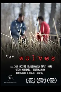 Постер к фильму «The Wolves (2014)»