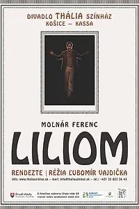 Постер к фильму «Liliom (2014)»