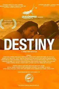 Постер к фильму «Destiny (2014)»