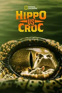 Постер к фильму «Hippo vs Croc (2014)»