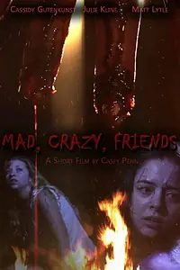 Постер к фильму «Mad, Crazy, Friends (2014)»