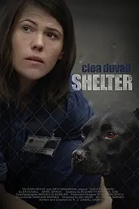 Постер к фильму «Shelter (2015)»
