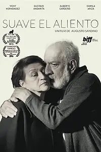 Главный постер фильма «Молчаливое зеркало (2015)»