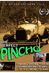 Главный постер фильма «The Perfect Pincho (2014)»