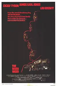 Постер к фильму «The River Niger (1976)»